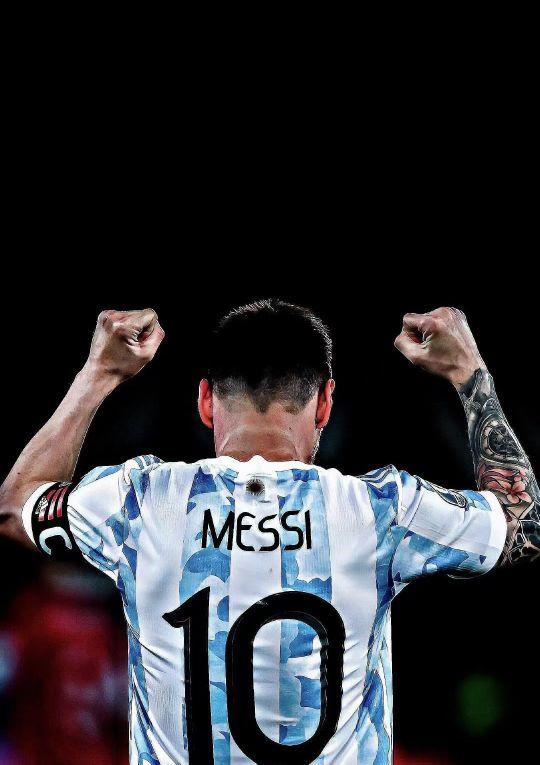 境中逆转还 境中逆转还