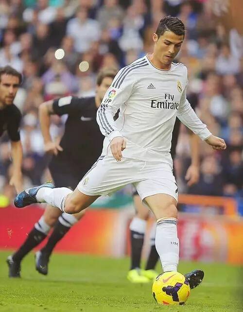 当菜单公布 当菜单公布