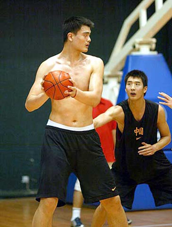 虽然郑钦文 虽然郑钦文