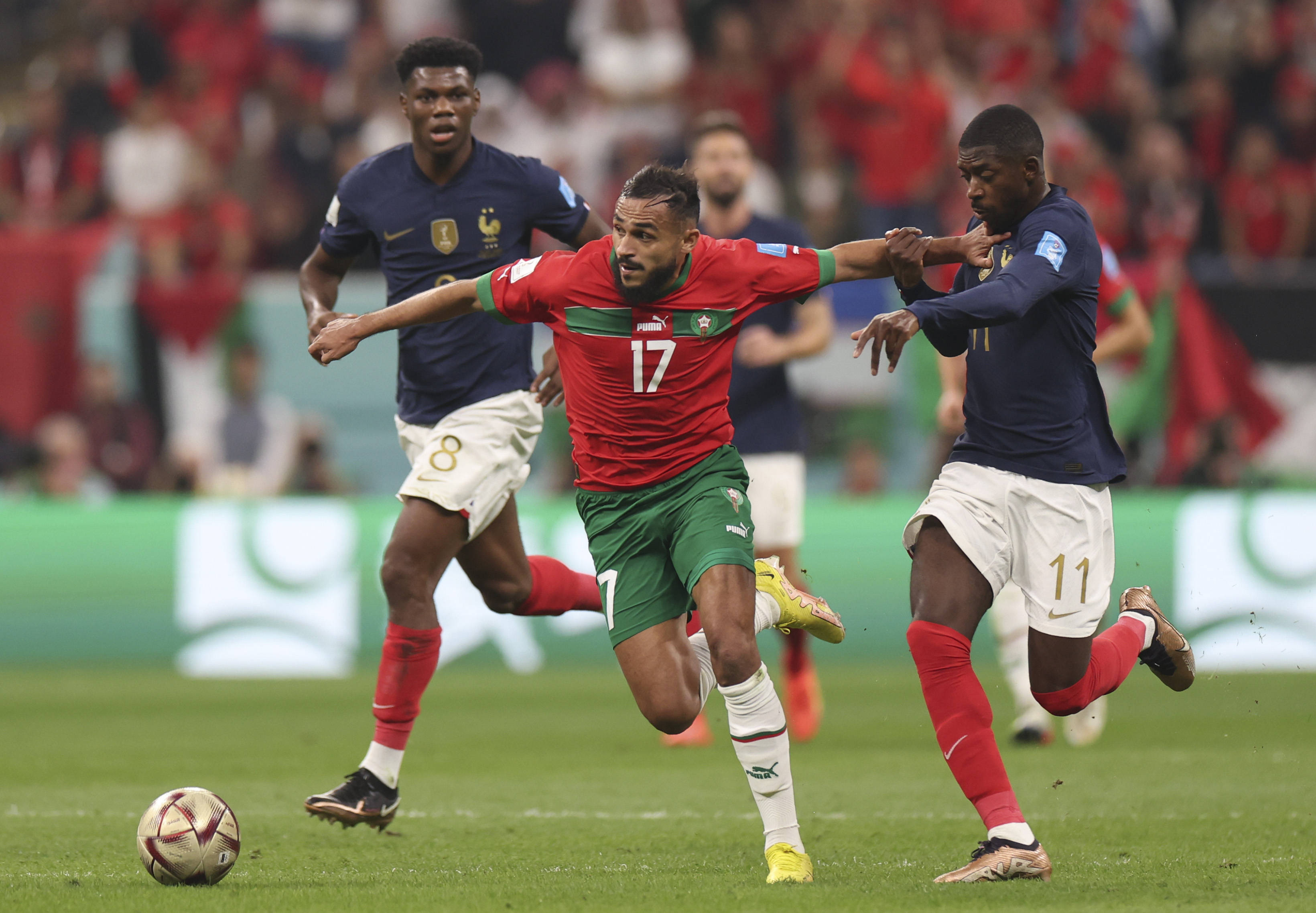 从战术螺丝 从战术螺丝