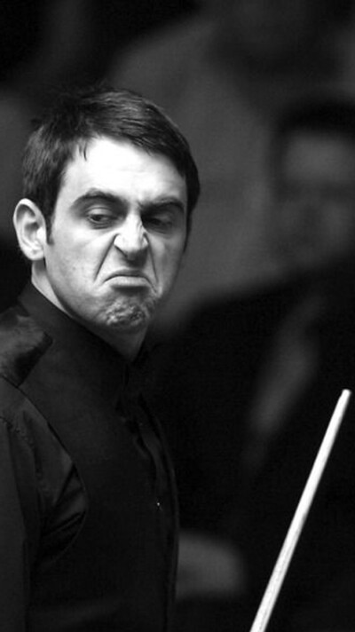 七日开放 七日开放